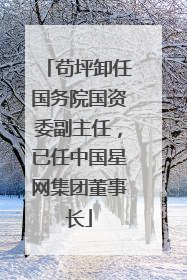 苟坪卸任国务院国资委副主任，已任中国星网集团董事长