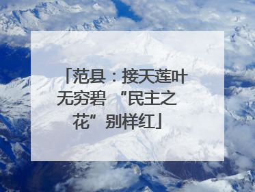 范县：接天莲叶无穷碧 “民主之花”别样红