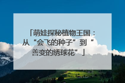 萌娃探秘植物王国：从“会飞的种子”到“善变的绣球花”