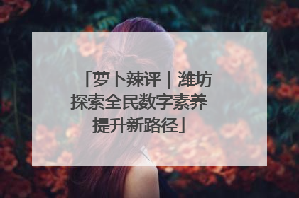 萝卜辣评｜潍坊探索全民数字素养提升新路径