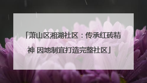 萧山区湘湖社区：传承红砖精神 因地制宜打造完整社区