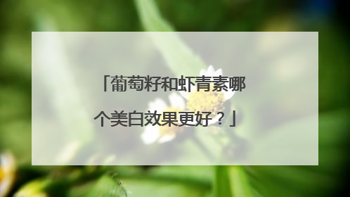 葡萄籽和虾青素哪个美白效果更好？