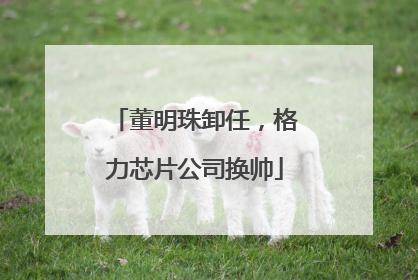 董明珠卸任，格力芯片公司换帅