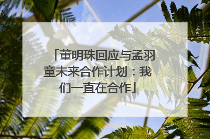 董明珠回应与孟羽童未来合作计划：我们一直在合作