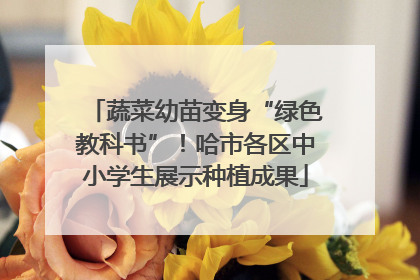 蔬菜幼苗变身“绿色教科书”！哈市各区中小学生展示种植成果