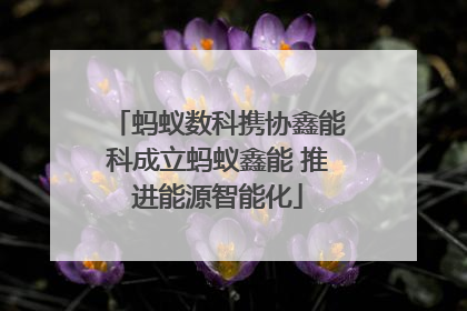 蚂蚁数科携协鑫能科成立蚂蚁鑫能 推进能源智能化