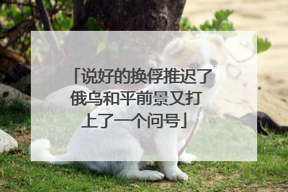 说好的换俘推迟了 俄乌和平前景又打上了一个问号