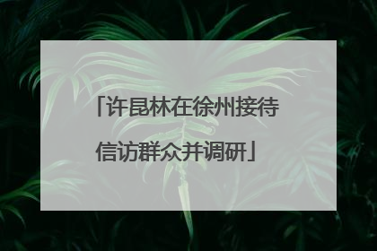 许昆林在徐州接待信访群众并调研