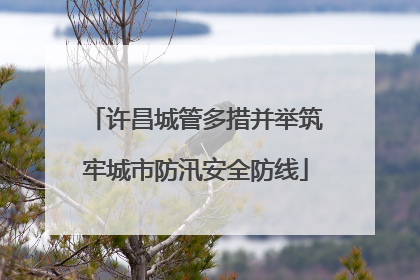 许昌城管多措并举筑牢城市防汛安全防线