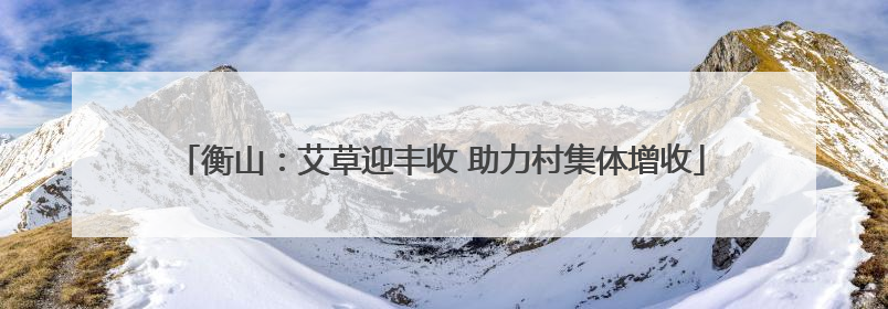 衡山：艾草迎丰收 助力村集体增收