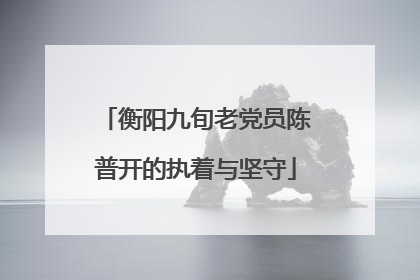 衡阳九旬老党员陈普开的执着与坚守