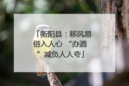 衡阳县：移风易俗入人心 “办酒”减负人人夸
