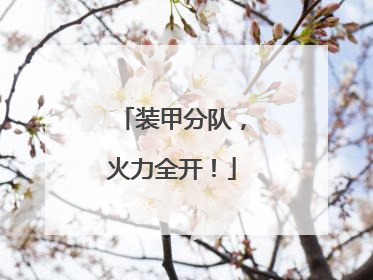 装甲分队，火力全开！