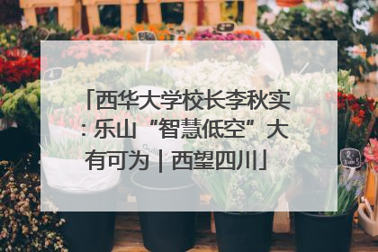 西华大学校长李秋实：乐山“智慧低空”大有可为｜西望四川