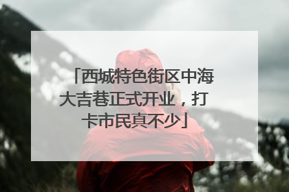 西城特色街区中海大吉巷正式开业，打卡市民真不少