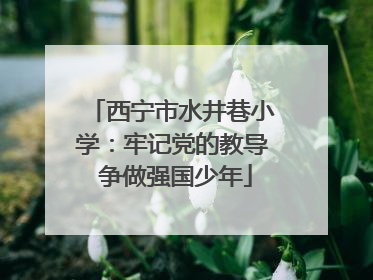 西宁市水井巷小学：牢记党的教导 争做强国少年