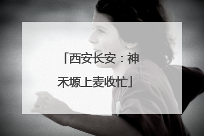 西安长安：神禾塬上麦收忙