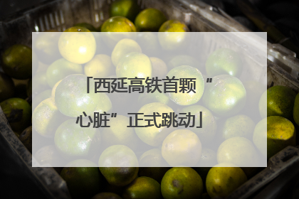 西延高铁首颗“心脏”正式跳动