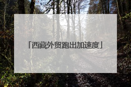 西藏外贸跑出加速度