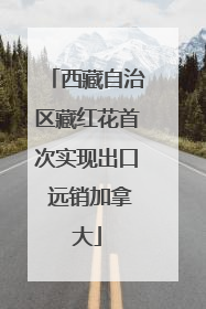 西藏自治区藏红花首次实现出口 远销加拿大