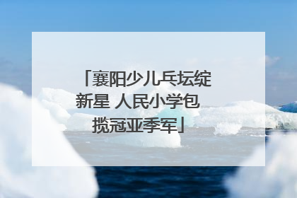 襄阳少儿乓坛绽新星 人民小学包揽冠亚季军