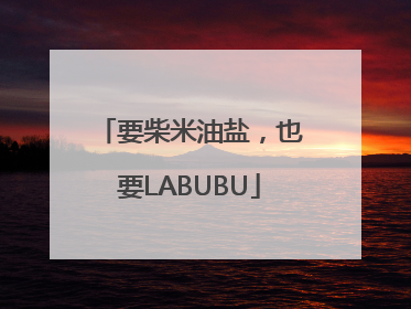 要柴米油盐，也要LABUBU