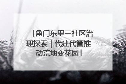 角门东里三社区治理探索｜代建代管推动荒地变花园