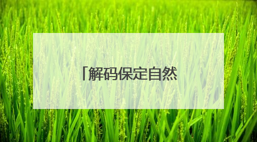 解码保定自然博物馆：跨越时空的生命交响