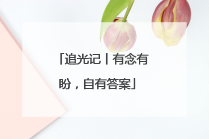 追光记丨有念有盼，自有答案