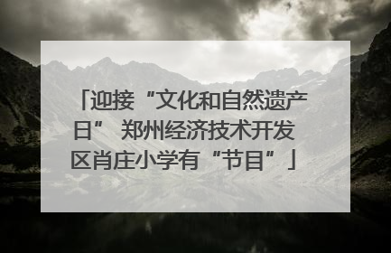迎接“文化和自然遗产日” 郑州经济技术开发区肖庄小学有“节目”