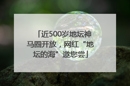 近500岁地坛神马圈开放，网红“地坛的海”邀您尝