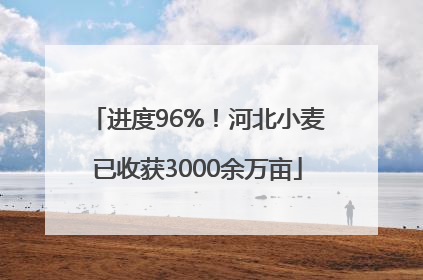 进度96%！河北小麦已收获3000余万亩