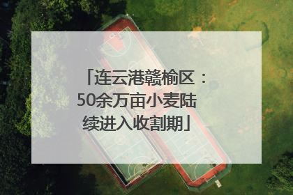 连云港赣榆区：50余万亩小麦陆续进入收割期