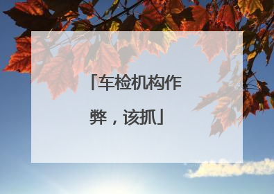 车检机构作弊，该抓