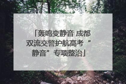 轰鸣变静音 成都双流交警护航高考“静音”专项整治