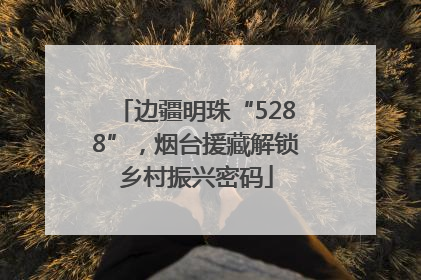 边疆明珠“5288”，烟台援藏解锁乡村振兴密码
