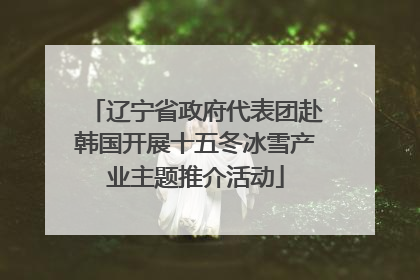 辽宁省政府代表团赴韩国开展十五冬冰雪产业主题推介活动