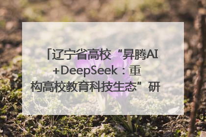辽宁省高校“昇腾AI+DeepSeek：重构高校教育科技生态”研讨会在沈阳成功举办