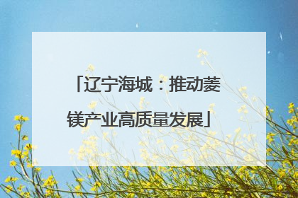 辽宁海城：推动菱镁产业高质量发展
