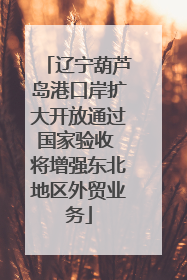 辽宁葫芦岛港口岸扩大开放通过国家验收 将增强东北地区外贸业务