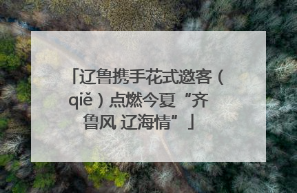 辽鲁携手花式邀客（qiě）点燃今夏“齐鲁风 辽海情”