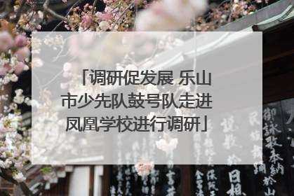 调研促发展 乐山市少先队鼓号队走进凤凰学校进行调研