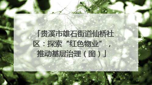 贵溪市雄石街道仙桥社区：探索“红色物业”，推动基层治理（图）