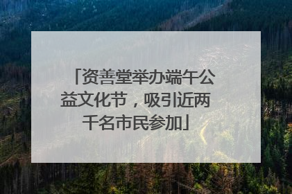 资善堂举办端午公益文化节，吸引近两千名市民参加