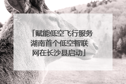 赋能低空飞行服务 湖南首个低空智联网在长沙县启动