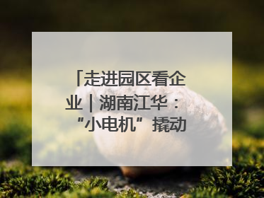 走进园区看企业｜湖南江华：“小电机”撬动“大产业”