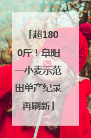 超1800斤！阜阳一小麦示范田单产纪录再刷新