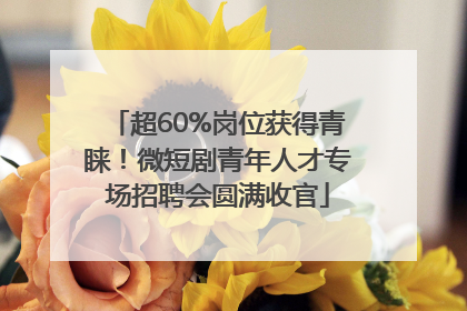 超60%岗位获得青睐！微短剧青年人才专场招聘会圆满收官