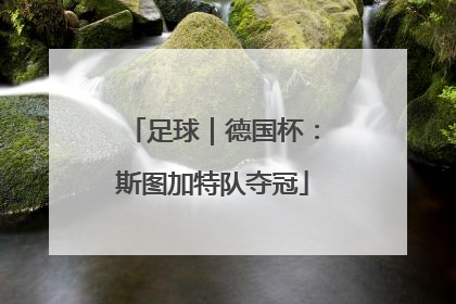 足球｜德国杯：斯图加特队夺冠