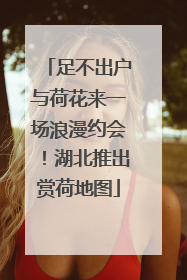 足不出户与荷花来一场浪漫约会！湖北推出赏荷地图